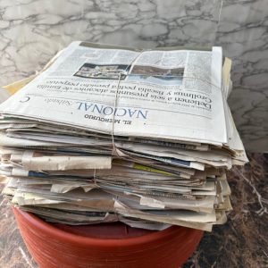 Diario