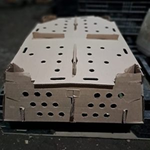 Caja de transporte
