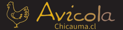 Avicolachicauma